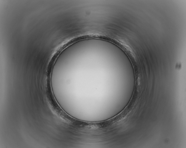 X0000090910492200707301036