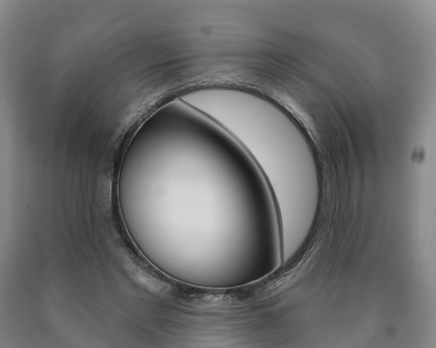X0000090910493200707301036
