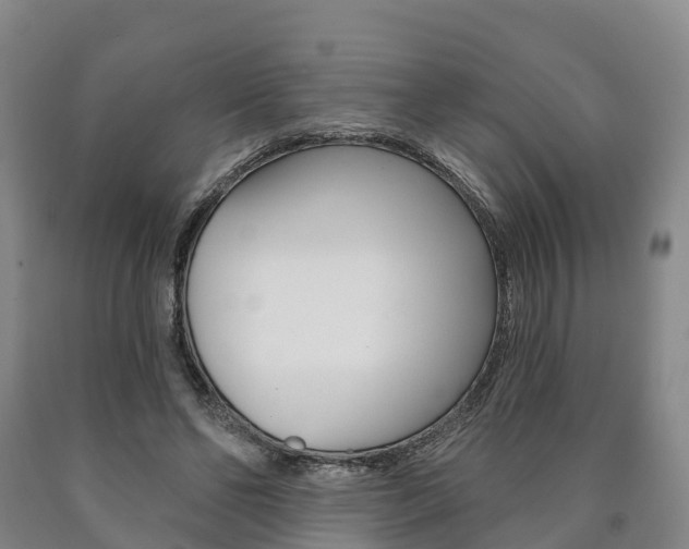 X0000090910494200707301036