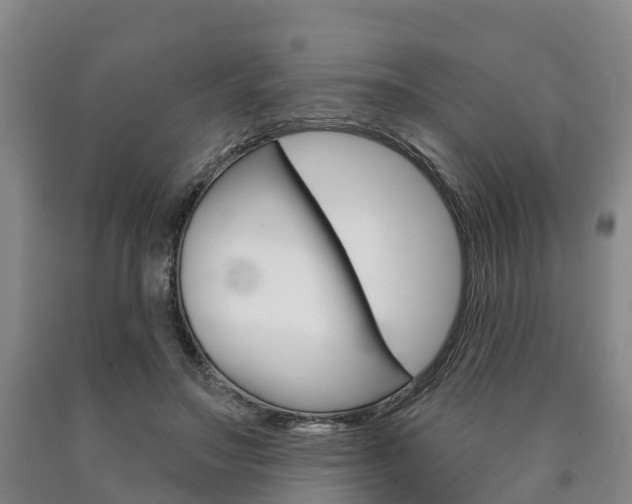 X0000090910499200707301036