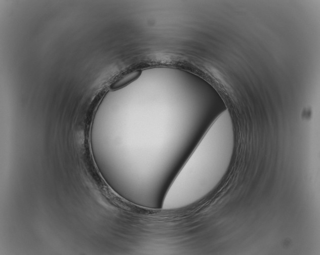 X0000090910500200707301036