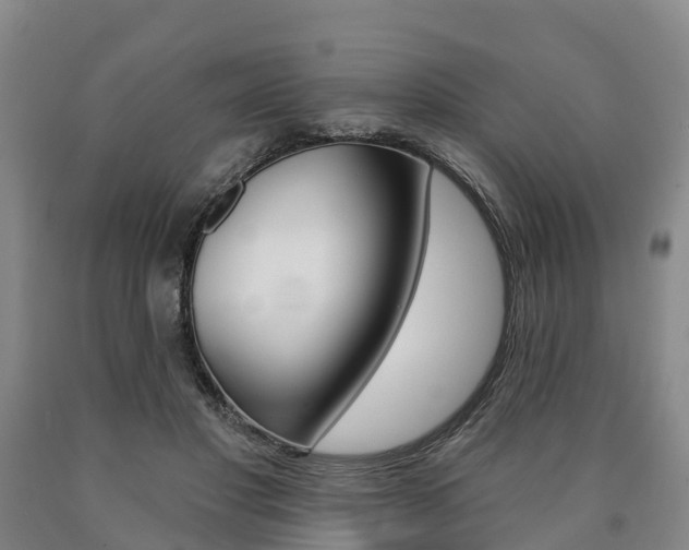 X0000090910501200707301036
