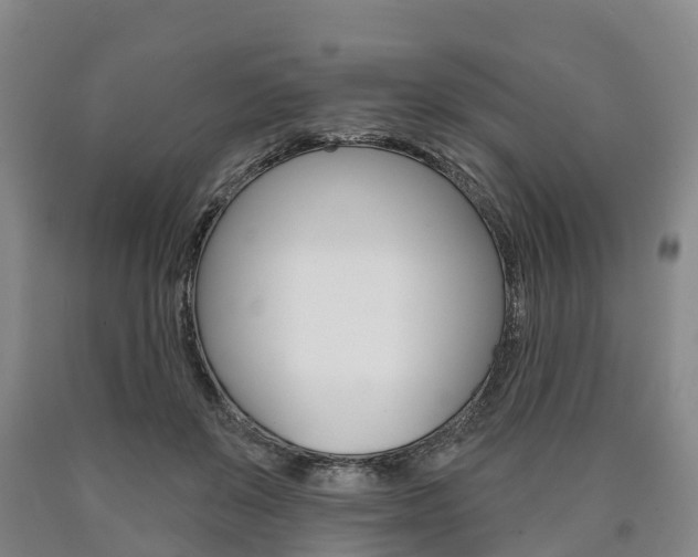 X0000090910503200707301036