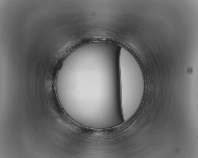 X0000090910504200707301036