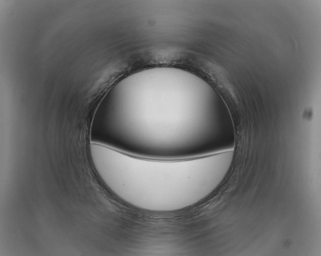 X0000090910505200707301036