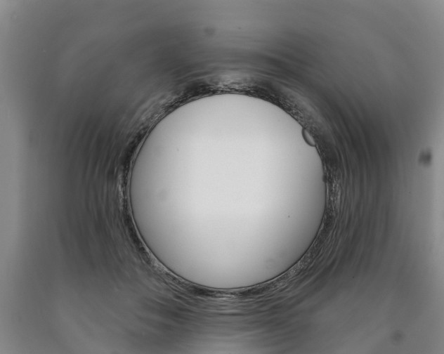 X0000090910506200707301036