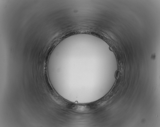 X0000090910507200707301036