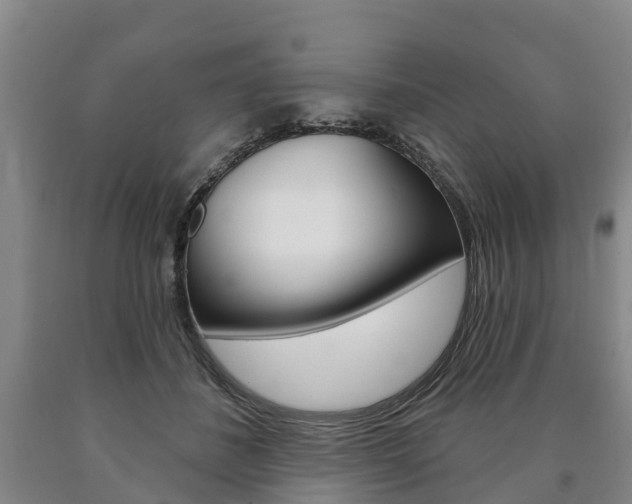 X0000090910508200707301036