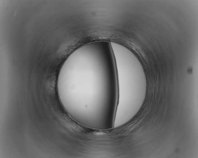 X0000090910509200707301036