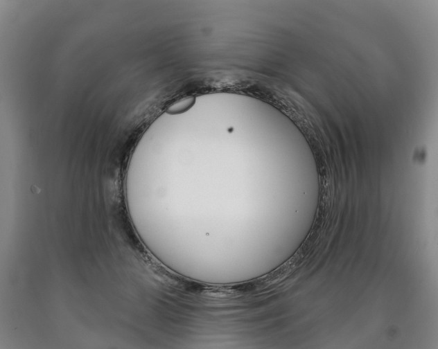 X0000090910510200707301036