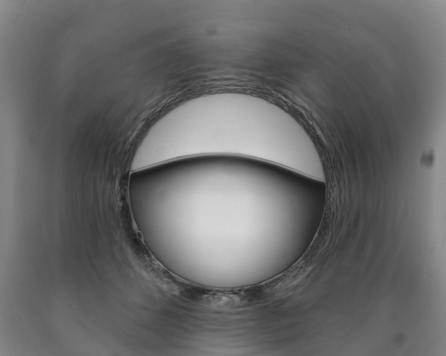 X0000090910512200707301036