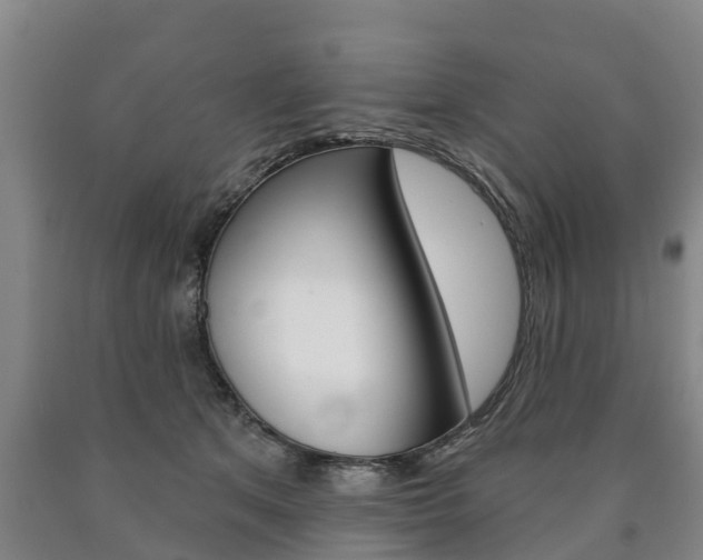 X0000090910513200707301036