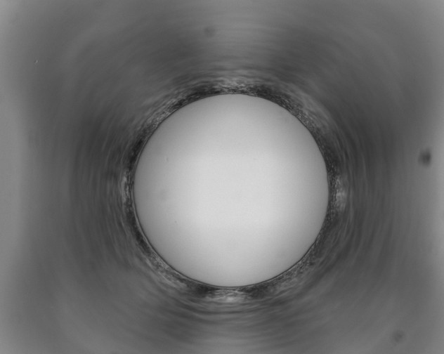 X0000090910514200707301035