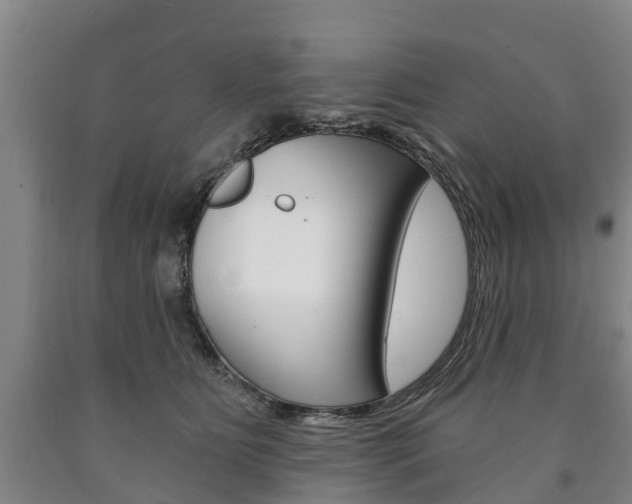 X0000090910515200707301035