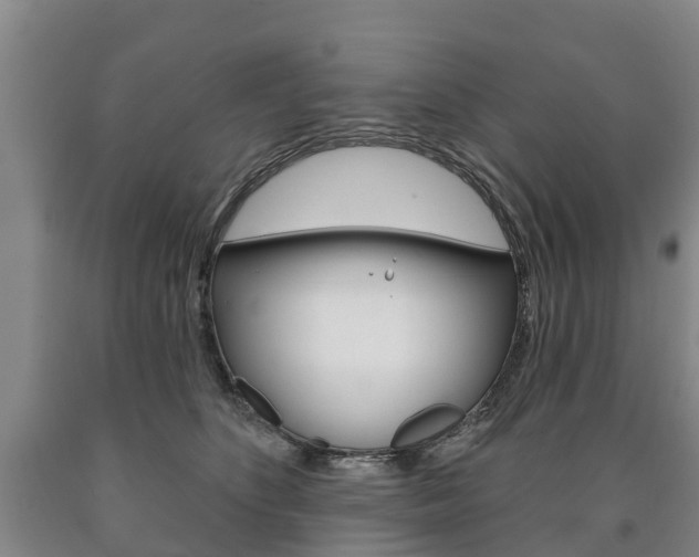 X0000090910516200707301035
