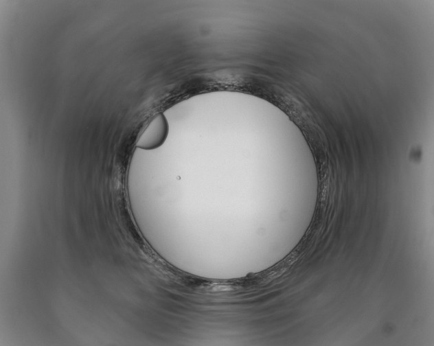 X0000090910518200707301035