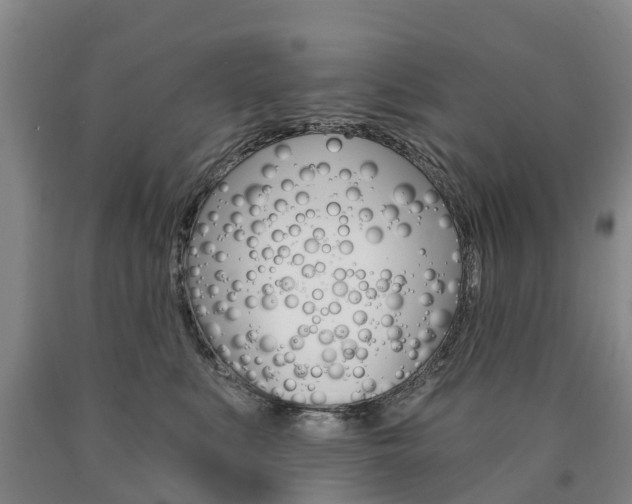 X0000090910519200707301035