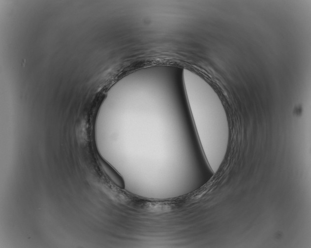 X0000090910520200707301035