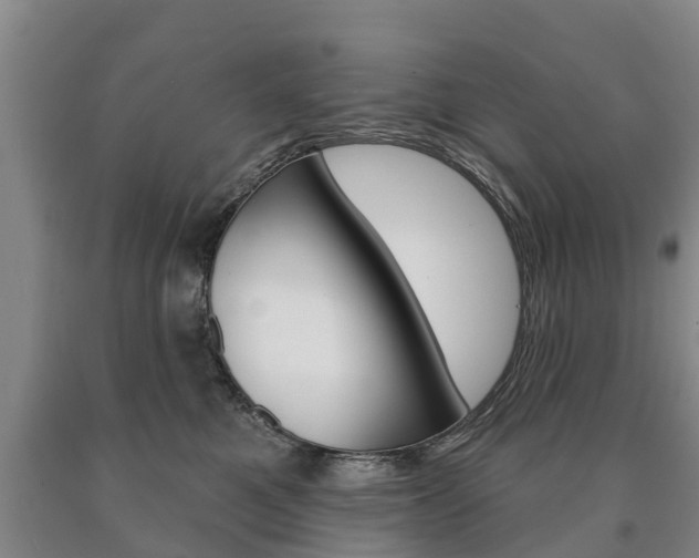 X0000090910521200707301035