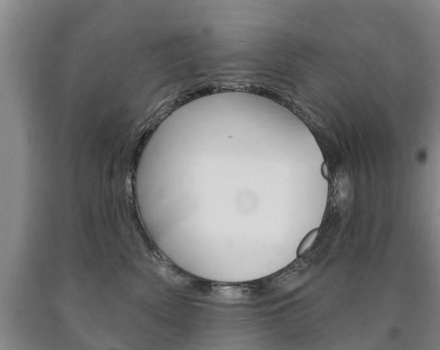 X0000090910522200707301035