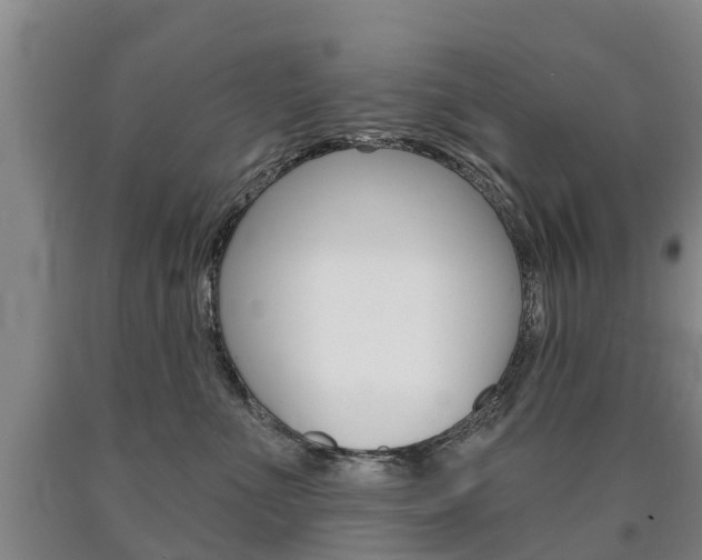 X0000090910523200707301035