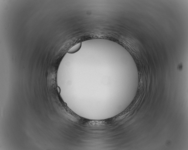X0000090910526200707301035