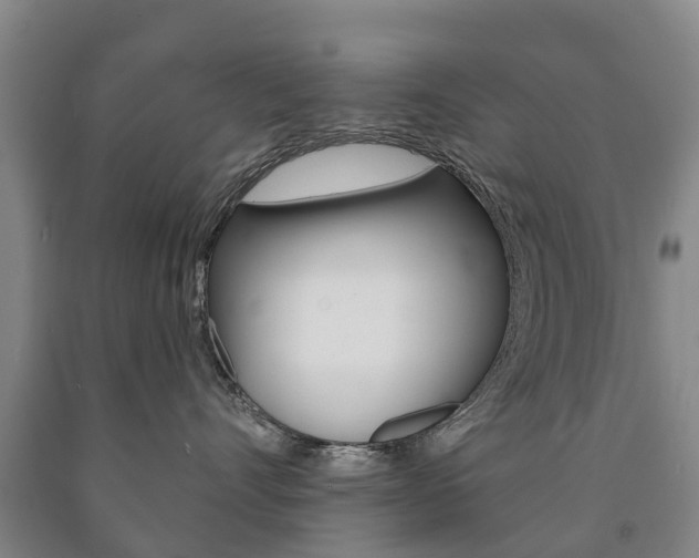 X0000090910528200707301035