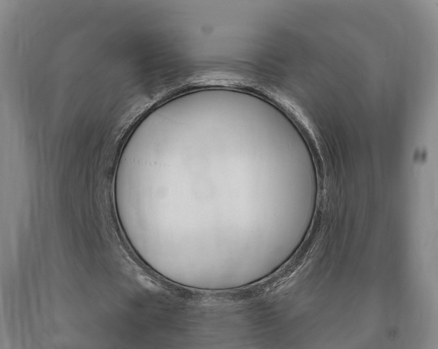X0000090910529200707301034