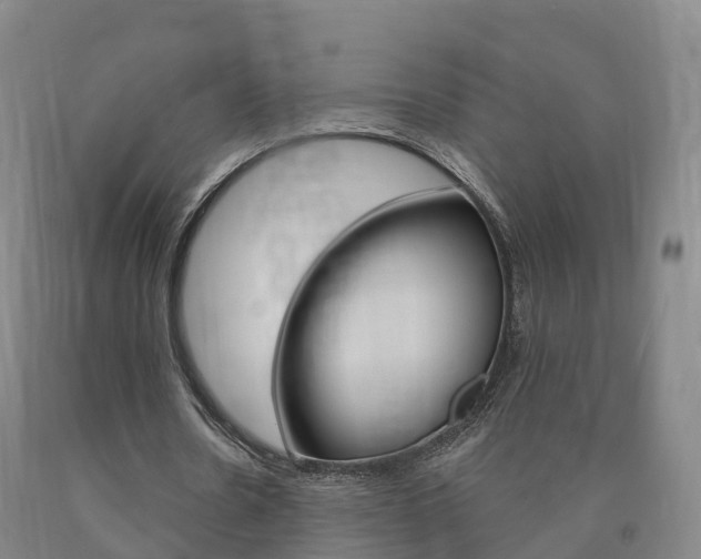 X0000090910530200707301034