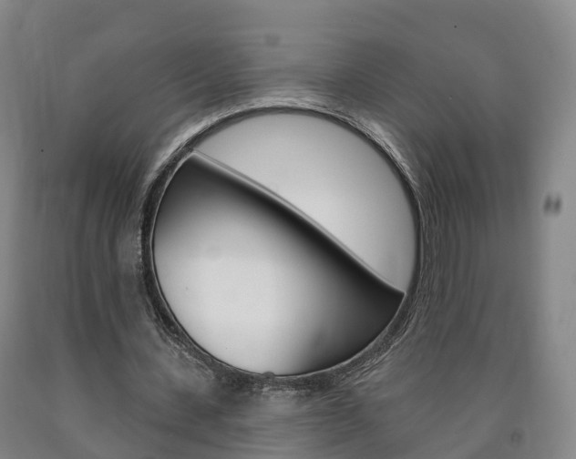 X0000090910531200707301034