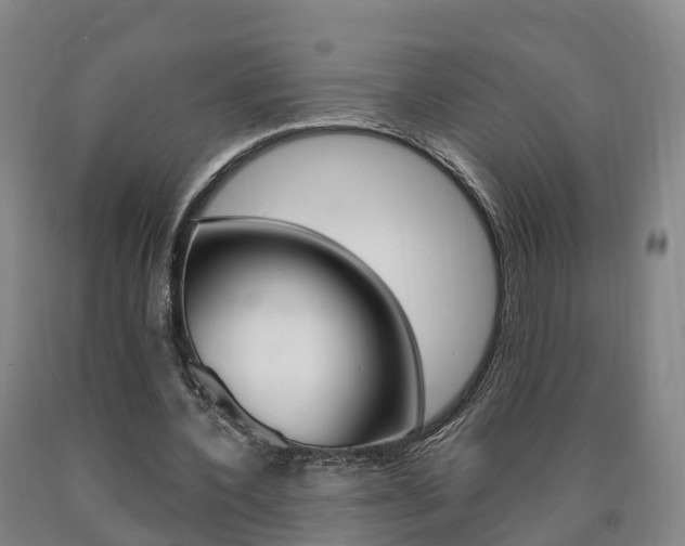 X0000090910532200707301034
