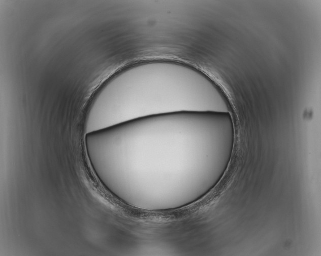 X0000090910533200707301034