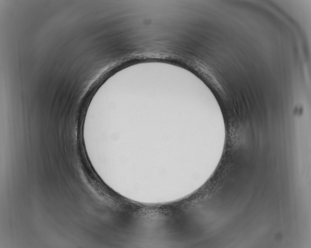 X0000090910534200707301035