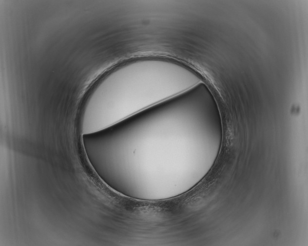X0000090910535200707301035