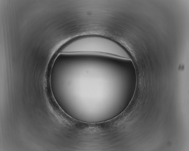 X0000090910536200707301035