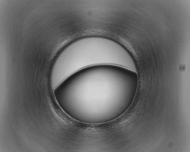 X0000090910538200707301035