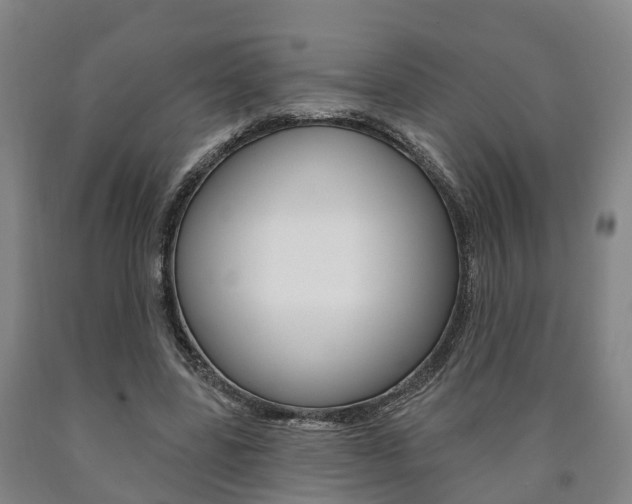X0000090910539200707301035