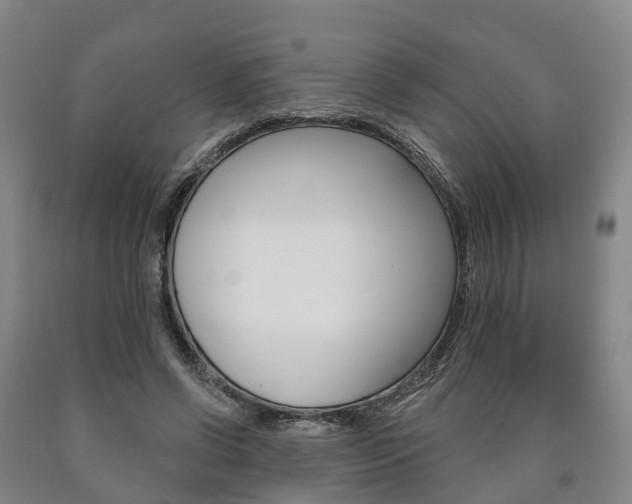 X0000090910542200707301035