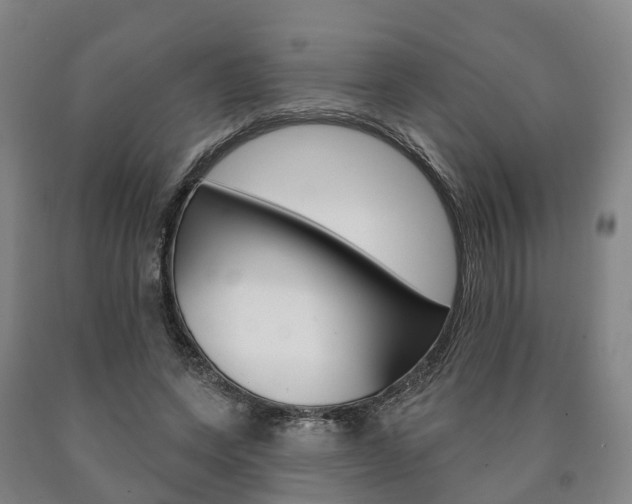 X0000090910543200707301035