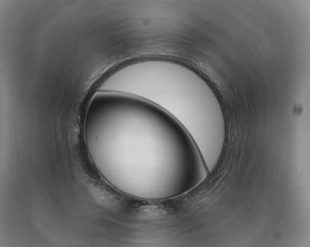 X0000090910544200707301035