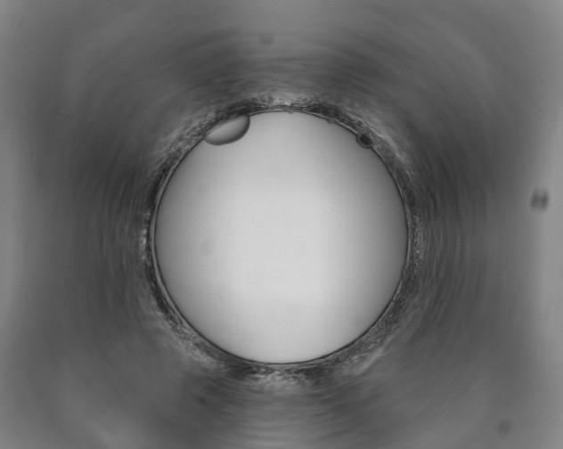 X0000090910545200707301035