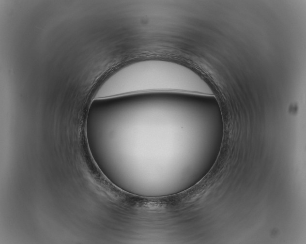 X0000090910546200707301035