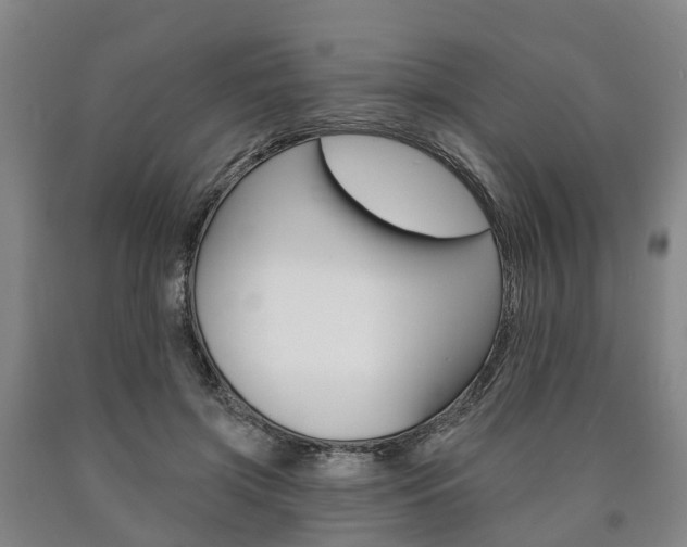 X0000090910549200707301035
