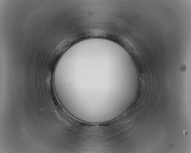 X0000090910550200707301035