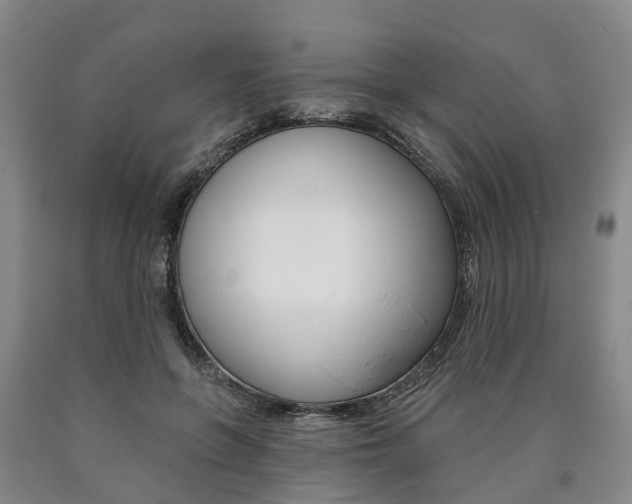 X0000090910551200707301035