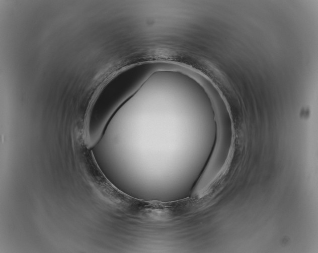 X0000090910552200707301035
