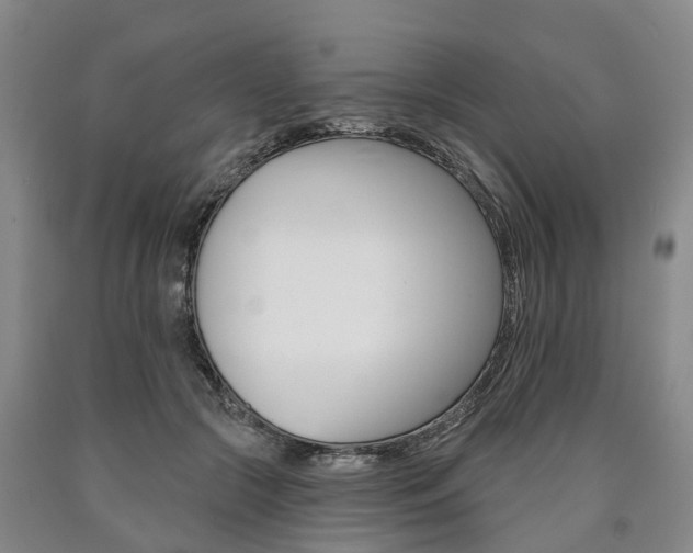 X0000090910553200707301035