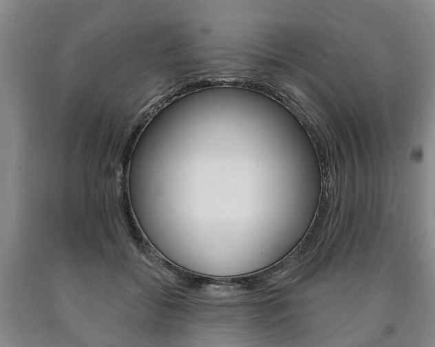 X0000090910556200707301035