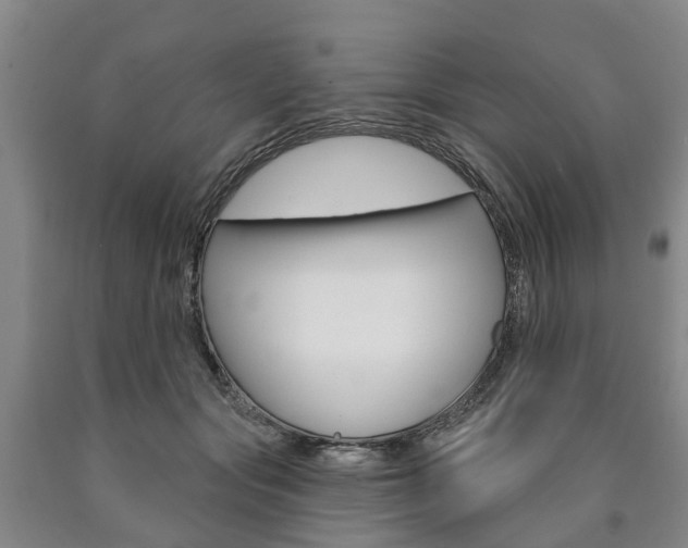 X0000090910557200707301035