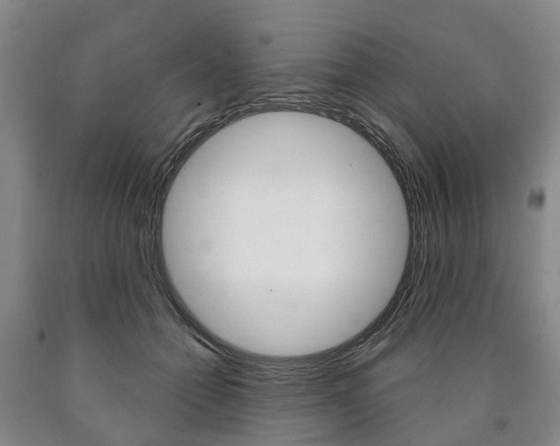 X0000090910558200707301035